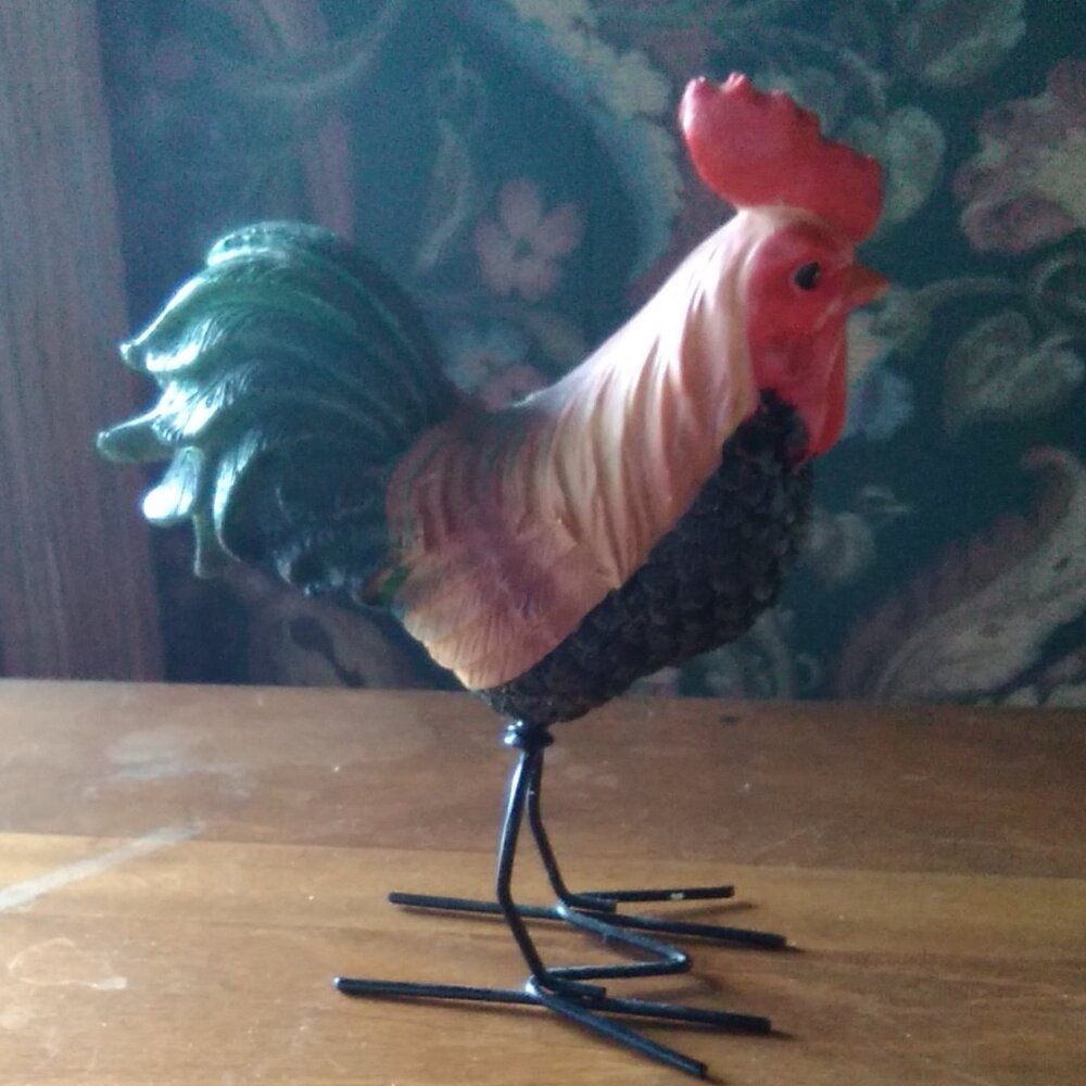 Small Funky Chicken Fun! - Picture 3 of 3